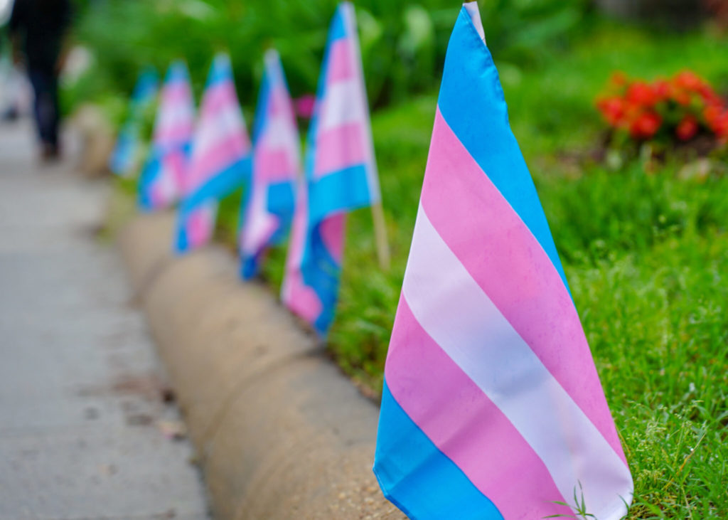 A row of Trans Flags line a sidewalk. The Trans Flags are striped, with light blue on top, then light pink, then white, then light pink again, then light blue again. 