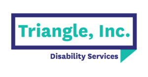 Triangle logo with Disability Services under the box